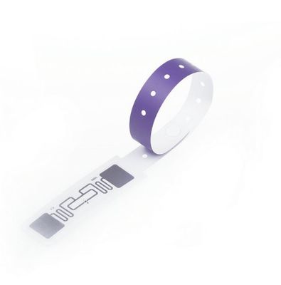 Polsino eliminabile 210*35mm di Rfid della carta della prova dell'acqua 250*30mm